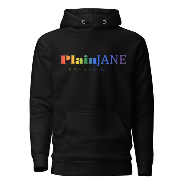 Modern Rainbow Logo Hoodie