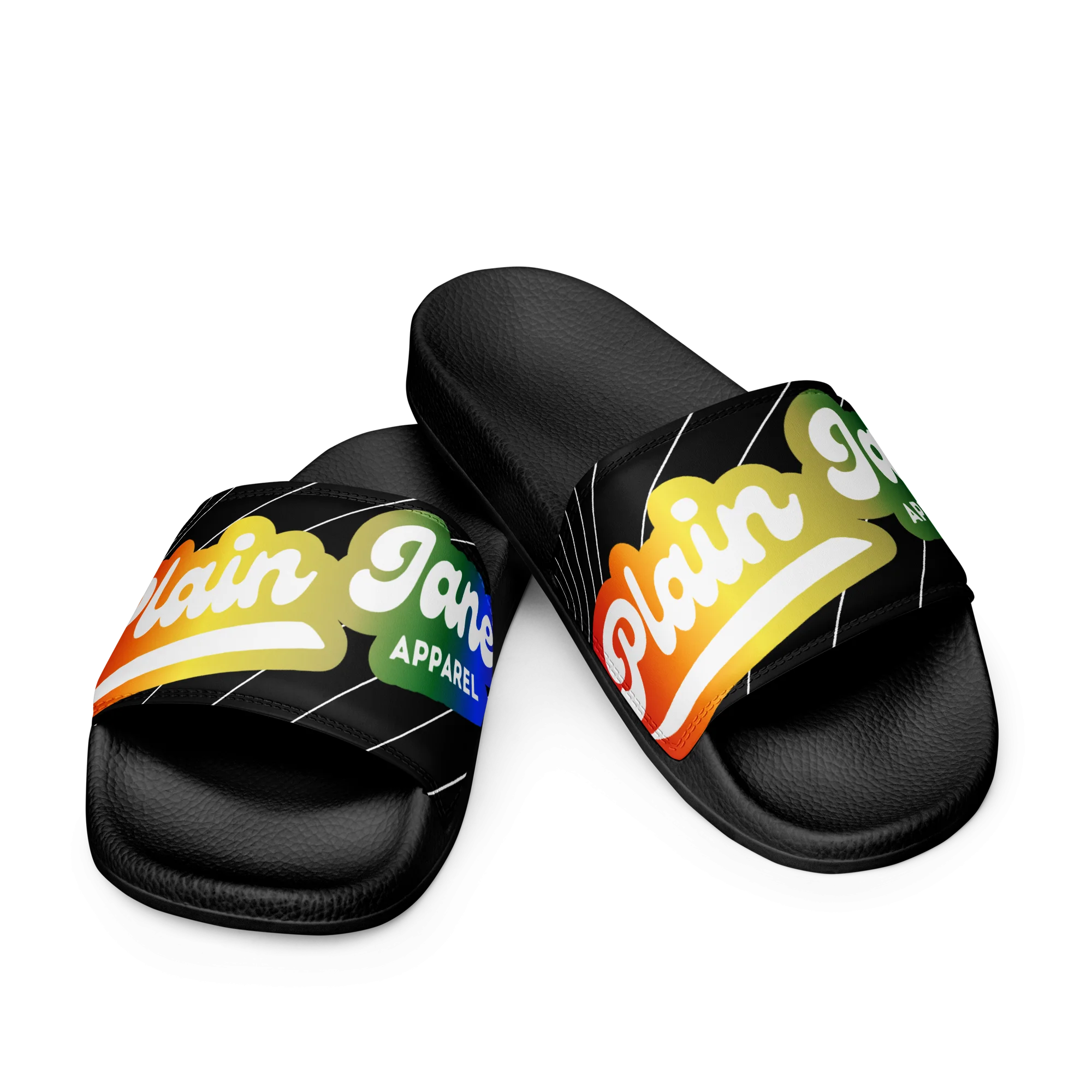Plain Jane Rainbow Logo Slides